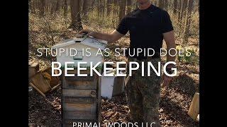 Beekeeping: Stupid Is As Stupid Does