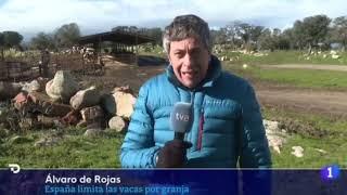 El polémico macroproyecto de Macrogranja con 23.000 vacas en Noviercas, Soria, no podrá realizarse