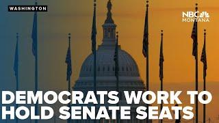 Democrats on the defense to keep Senate majority, political analyst explains