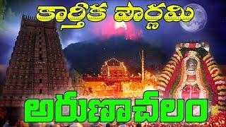 Arunachalam Karthika Deepam | Tiruvannamalai Karthigai Deepam 2024 | Arunachalam Live Darshan