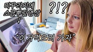 [헝가리부부]추어탕을 처음 먹어보는 헝가리아내의 반응은?! / 송담추어탕 / 미꾸라지튀김 /amwf