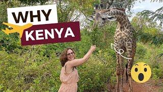 Why should I travel to Kenya? 8 REASONS why Kenya is your NEXT HOLIDAY Destination / Visit Kenya