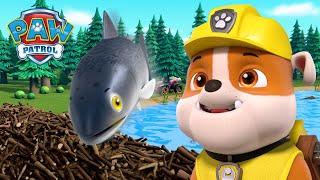 狗狗們協助魚兒越過海狸壩！- PAW Patrol 汪汪隊立大功 - 兒童卡通