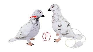 Custom Interactive plush pigeon handmade toy by Art berloga