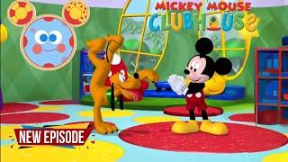 Mickey Mouse Club House : Plutos Best