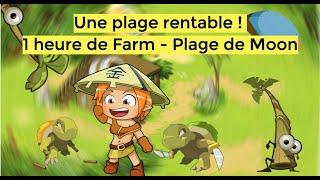 [DOFUS RETRO] La plage rentable ! 1 heure de farm - Plage de Moon