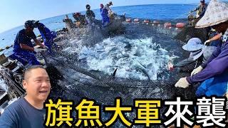 旗魚大軍強勢來襲，海上戰士活捉旗魚丨台東三和定置魚場