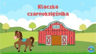 KLACZKA CZARNOKSIĘŻNIKA  słuchowiska dla dzieci (audiobook dla dzieci) 