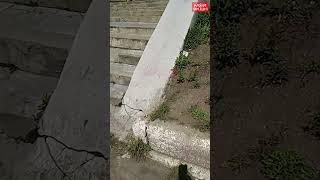Разрушенные ступеньки и бурьян на клумбах в центре Благовещенска возмутил горожанку