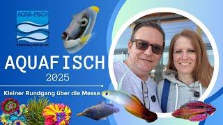 Aqua Fisch Messe Friedrichshafen 2025 | Meerwasser Rundgang | Aquaristik Messe
