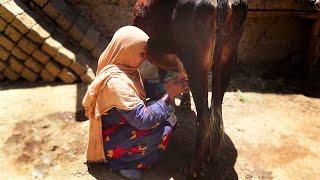 Untold Stories of Afghanistan: A Day in the Life of Remote Village Living