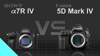 Sony alpha a7R IV vs Canon EOS 5D Mark IV