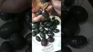 Fresh Jamun #jamun season #shorts #annapurnarecipe subscribe to ‎@Anunapurnadelicious for more