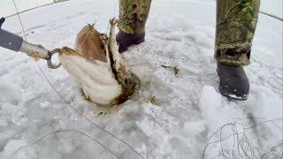 Alberta Trophy Pike