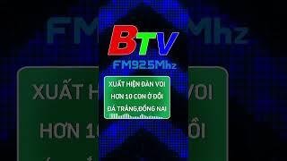 Xuất hiện đàn Voi hơn 10 con ở đồi Đá Trắng, Đồng Nai | FM Bình Dương 92.5 MHz