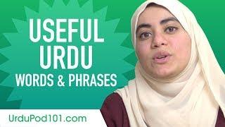 Useful Urdu Words & Phrases to Speak Like a Native