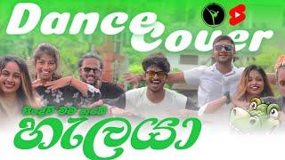 සීදේවි (හැලයා) #dance #cover #seedevi #sinhala #song  #shortfeed #shorts #short #piyathrajapakse