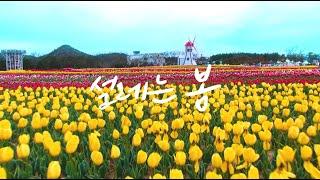 [전남관광 홍보 영상] 설레는 봄