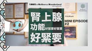 【生酮感受 x Wellness Wonderland】Mini episode #2《腎上腺功能好緊要x3》