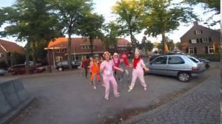 lipdub groep 8 2014  st corneliusschool Venhorst