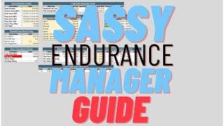 Sassy Endurance Manager Guide | Sim Racing | iRacing | Team Management