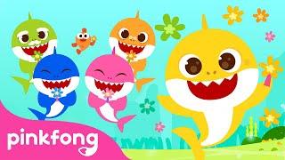 Colors are Beautiful! | Baby Shark Colors | Learn Colors for Kids | Pinkfong Baby Shark