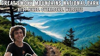 Great Smoky Mountains National Park - Best Hikes, Overlooks & Wildlife (2024)