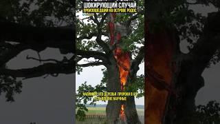 Почему горит изнутри? #интересныефакты