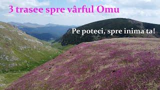 Omu Roz. Pe poteci, spre inima ta! Ep 103