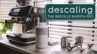 How to Descale the Breville Barista Pro (plus Flush Cycle or "Backflushing")