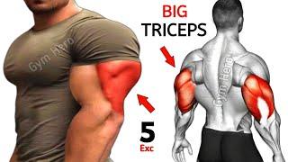 5 Big Triceps Exercises For Huge Muscle - Tricep Workout