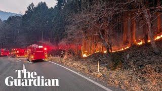 Firefighters struggle to contain seven-day wildfire in north-eastern Japan