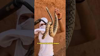 Dia 3 Rescatando Animales por Marruecos #animales #viral #rescate #tonifero