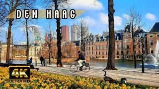 Den Haag Walking Tour | 4K HDR The Netherlands  Spring 2024 ️