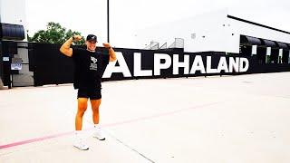 IS ALPHALAND GOOD??? (ALPHALAND REVIEW!!!)