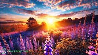 EARLY Morning Music  Powerful Morning Meditation Music With Positive Energy 528HZ