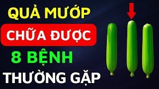 Quả Mướp Chữa 8 Bệnh Thường Gặp Ở Người Già – Ai Cũng Nên Biết!