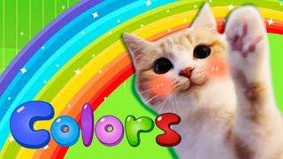 Rainbow Colors Song - Learn Colors | Nursery Rhymes & Kids Songs | Keiki Kids Songs