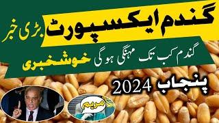 How to make more money from wheat | Wheat Price Today June 2024 | Gandam Kab Tak Mehngi Hogi