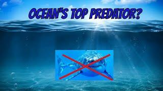 OCEAN’S TOP PREDATOR?! ORCA