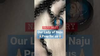 Our Lady of Naju, pray for us 