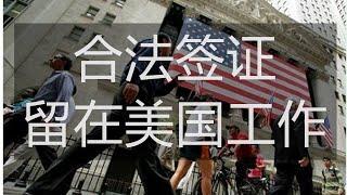 美国合法移民工作的签证类型有哪些？一个视频快速告诉你