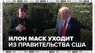 Илон Маск уходит из правительства США, трагедия у Канар — и голуби в самолёте