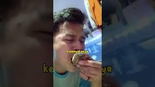 4 Kesalahan Dalam Melihara Ikan Channa