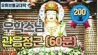 [우학스님] 관음정근(60분)