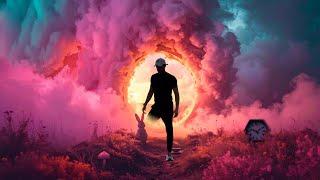 Down the Rabbit Hole – A Journey into the Unknown