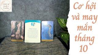 Cơ hội và may mắn tháng 10 | Chọn 1 tụ bài | Xem Tarot