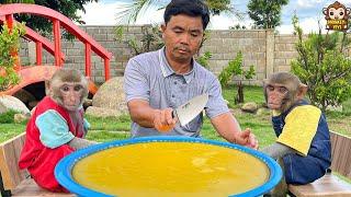 YiYi and YinYin help grandpa harvest eggs to make delicious giant cakes