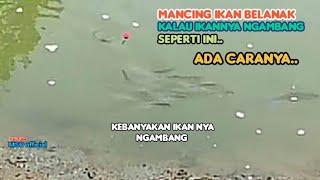 Ternyata sangat mudah.!! mancing belanak yg ngambang