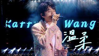 【TFBOYS 王俊凱】高清 2023年TFBOYS十周年演唱會 王俊凱改編翻唱五月天歌曲《溫柔》用溫柔的嗓音唱出不一樣的灑脫與自由 【Karry Wang Junkai】